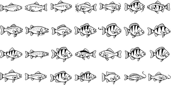 Black and White Line Art Collection of Diverse Fish Illustrations for Seafood or Fishing Industry