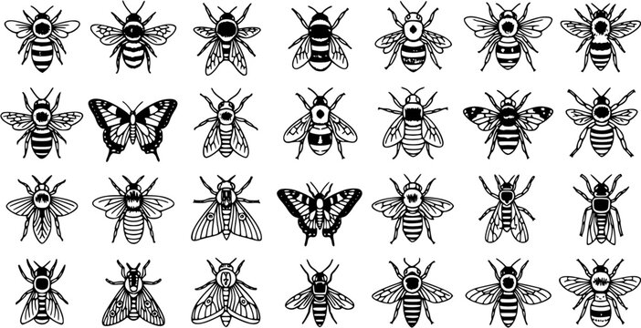 Entomology Nature Black and White Line Art Icon Set: Diverse Flying Insects, Bees, Wasps, Butterflies  Moths Collection