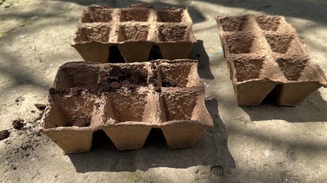 Woman pours soil into group of peat pots camera zoom
