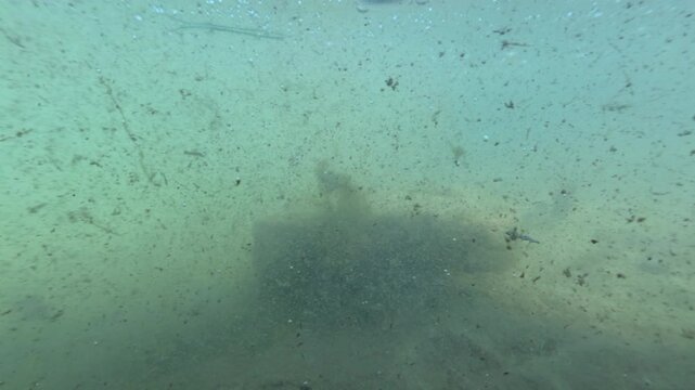 Slow motion underwater footage of river showing drifting particles vegetation and organic decay with split surface perspective
