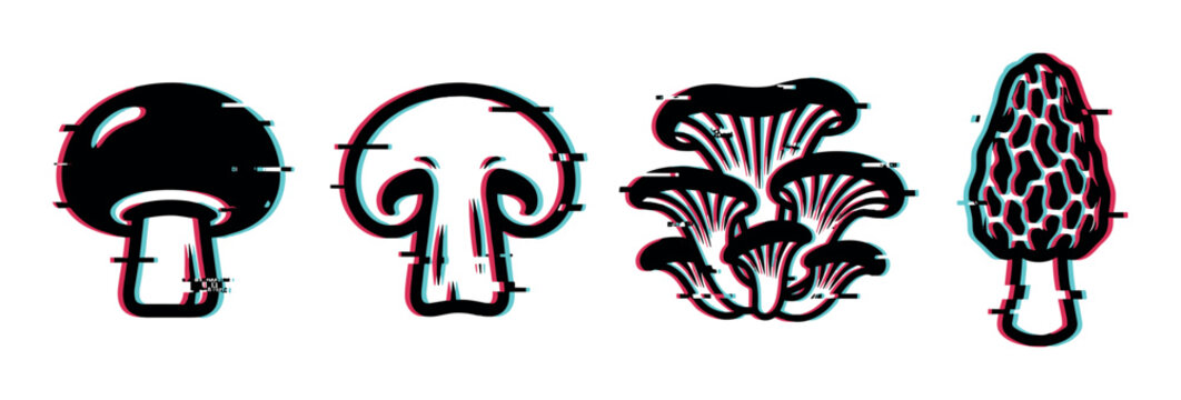 Mushroom fungi morel oyster champignon icons with glitch effect, vector illustration