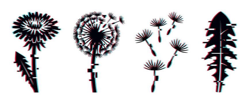 Dandelion flower seed head leaf seeds glitch effect vector illustration set, perfect for nature and digital themes