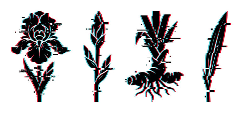 Iris flower bud leaves root plant elements with digital glitch effect vector illustration