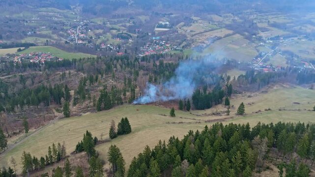 Drone view of localized forest fire near wooden stand with smoke and flames limited by damp cloudy weather