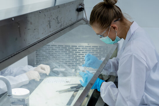 Scientist works in laboratory wearing gloves and mask while handling samples in a fume hood around midday