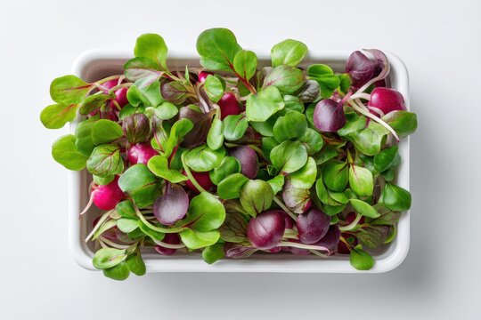 Fresh microgreens tray featuring radish sango and sunflower sprouts on a plain white surface, ideal for home gardening and vegan meals