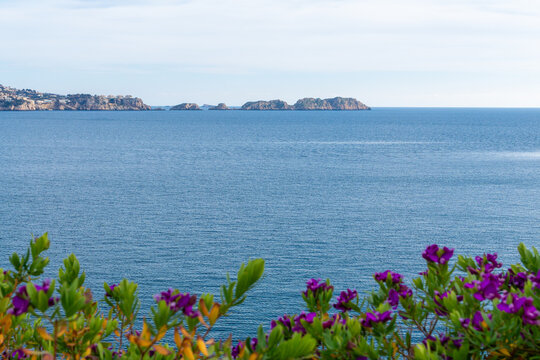 Panoramic sea view of Illes Malgrats Mallorca with purple flowers and Mediterranean coastline