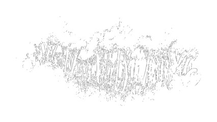 Black and white hand drawn sketch of wild meadow grass isolated on transparent background. © Sara Studio