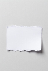 Naklejka premium crisp view blank white torn paper jagged edges rests soft light gray backdrop bathed natural daylight ready