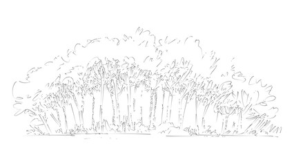 Fototapeta premium Hand drawn ink sketch of forest trees silhouette isolated on transparent background file.