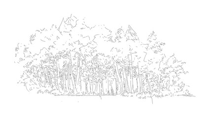 Obraz premium Artistic hand drawn sketch of forest landscape isolated on transparent background element.