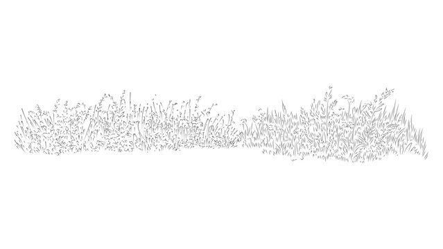 Line art of tall grass blowing in wind isolated on transparent background.