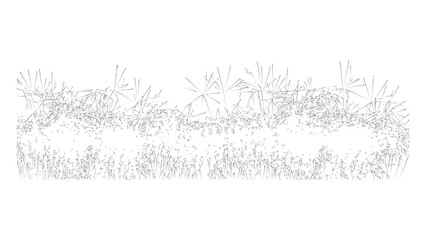 Wireframe illustration of dense grass and weeds on transparent background. © Sara Studio