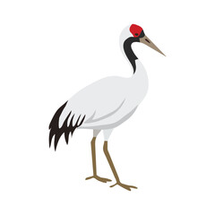 Fototapeta premium Illustration of a redcrowned crane