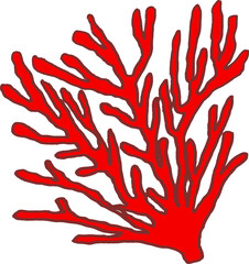 coral reef © sunxnme