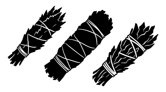 Bundles of sage for smudging and purification rituals