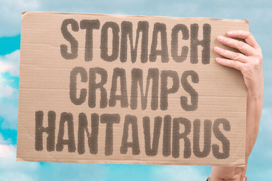 "Stomach Cramps Hantavirus" Gastrointestinal symptoms can precede the severe pulmonary phase of hantavirus infection. GASTROINTESTINAL. SYMPTOMS. PRECEDE. PULMONARY. INFECTION.