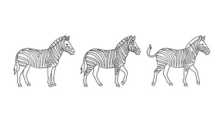 Naklejka premium A captivating collection of three zebras drawn in a minimal line art style, showcasing their distinctive stripes and unique poses for artistic inspiration.