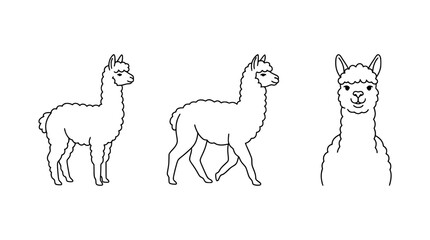 Fototapeta premium A charming line art depiction of a llama, showcasing its unique features with minimalist design elements for artistic versatility and creative expression.
