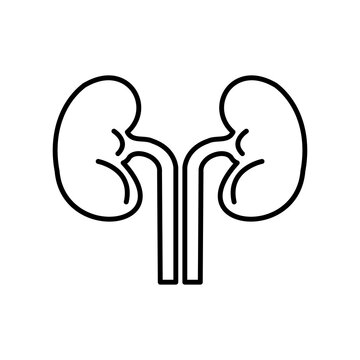 Kidney icon vector illustration logo design