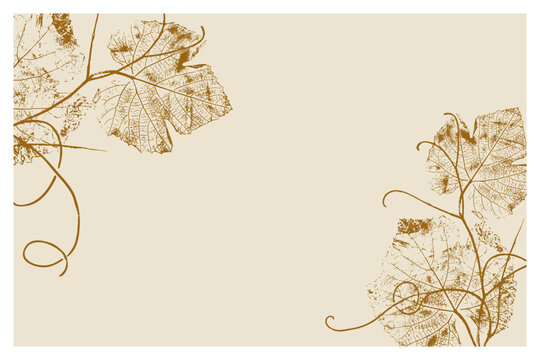 Elegant vintage grape leaf and vine botanical illustration in sepia style, minimalist background for wine labels, restaurant menus, and invitations in warm beige and brown palette. Vector illustration