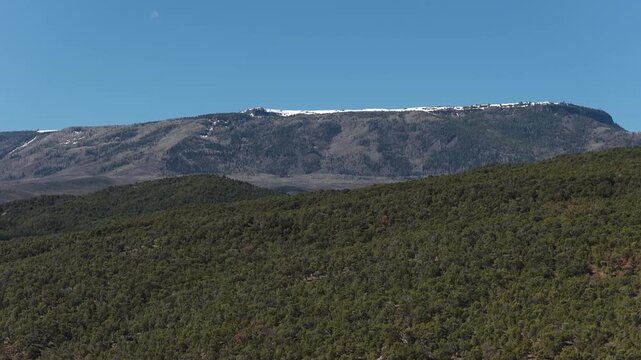 Aerial close up of pinyon pine forest below the Grand Mesa Colorado in spring with blue sky