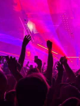 vibrant crowd silhouette under neon lights at live music concert