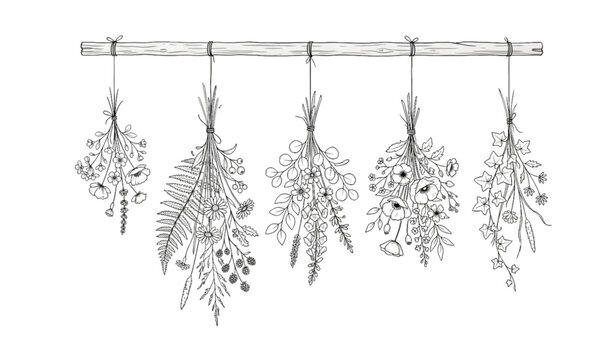 Minimal hanging wildflower SVG bundle with elegant botanical decorative vectors