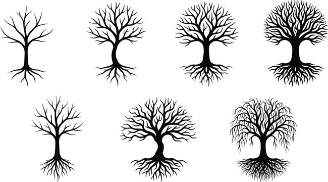 Collection of stylized leafless tree silhouettes with exposed roots and unique branching patterns for natural and artistic design projects