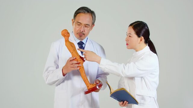 Traditional chinese medicine physician practitioner doctor explaining acupuncture points medicine acupoint on anatomical meridian model to woman colleague, healthcare team cooperate exchanging opinion