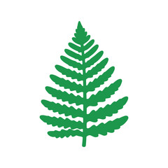 Fototapeta premium Illustration of a vibrant green fern leaf on a white background in a minimalist style