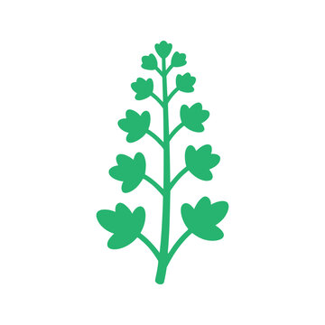 Bright green larkspur illustration with a cartoon style, minimal design on a white background