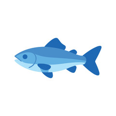 Fototapeta premium Illustration of a blue fish swimming with its fins and tail in a simple style