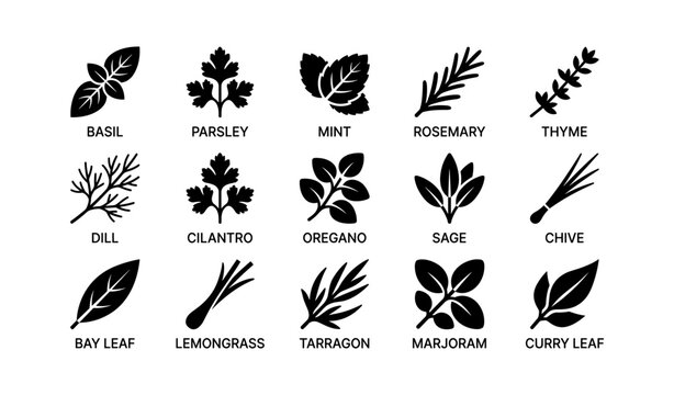 Herb icons showing various common culinary herbs in grid layout