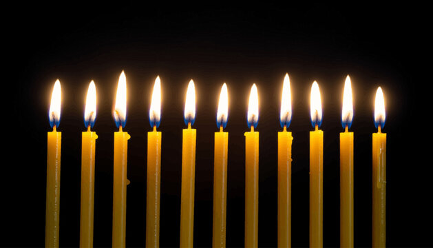 Hanukkah Menorah Candles menorah vector