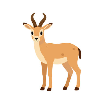 Cute saiga antelope with light brown fur and curved horns stands on a white background