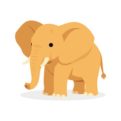 Fototapeta premium An elephant with light brown skin stands in the frame with its tusks visible and its trunk hanging down in front of it.