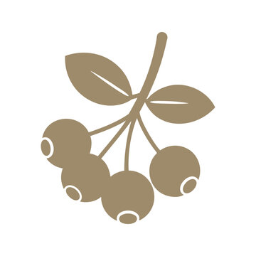 Minimalist illustration of a sprig of cranberries with four berries and three leaves