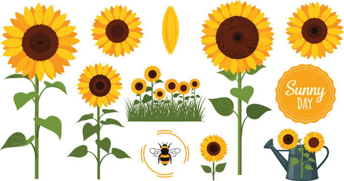 Flat Icon Set Featuring Sunflowers, Bee, Watering Can, and Sunny Day for Websites, Apps, and Digital Designs