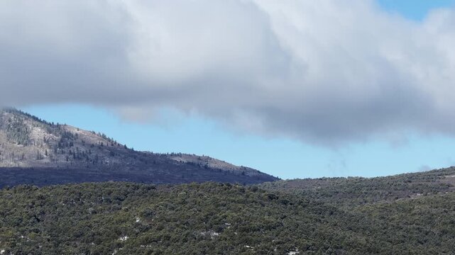 Aerial of pinyon forest hillside with low clouds and snow dusting in Mesa Colorado in spring