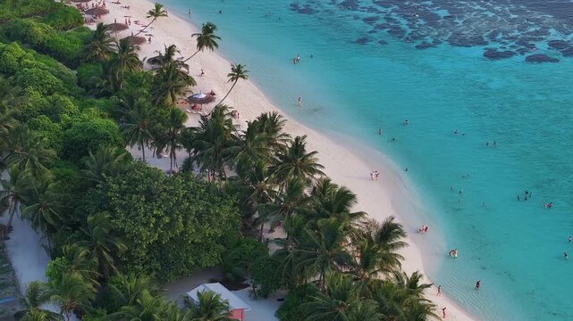 Aerial view of people relaxing on a white sand beach with palm trees and coral reefs in the turquoise ocean Thoddoo, Alif Alif Atoll, Maldives.
