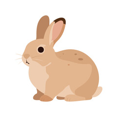 Obraz premium The light brown rabbit sits with its long ears upright, its fluffy tail barely visible, and has tan spots on its back.