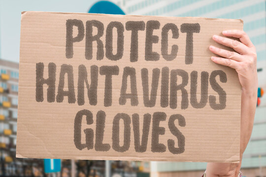 "Protect Hantavirus Gloves" Wearing disposable gloves when handling potential rodent-contaminated materials prevents infection. DISPOSABLE. HANDLING. CONTAMINATED. MATERIALS. INFECTION.