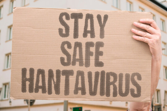 "Stay Safe Hantavirus" Knowing transmission routes helps individuals effectively minimize hantavirus infection exposure. TRANSMISSION. ROUTES. MINIMIZE. INFECTION. EXPOSURE.