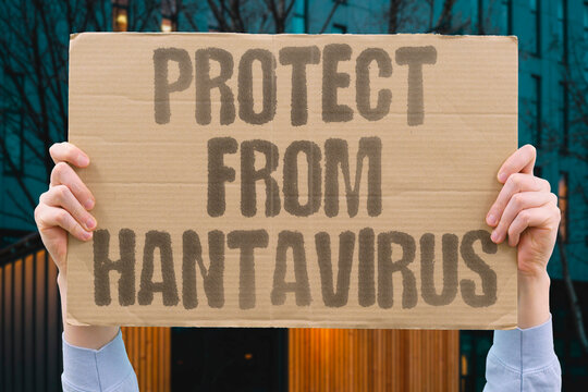 "Protect From Hantavirus" Avoiding rodent habitats and droppings significantly reduces viral transmission risk. RODENT. HABITATS. DROPPINGS. TRANSMISSION. RISK.