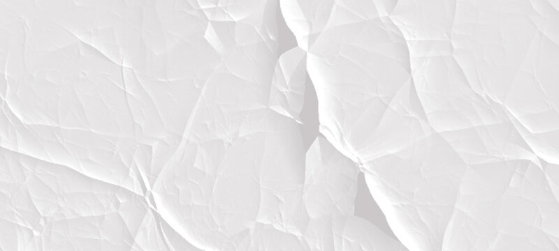 Abstract cracks texture of crumpled paper with deep shadows and bright highlights, revealing intricate organic lines and forms in a stark white and cool gray color perfect for avant-garde design