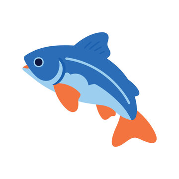 The neon tetra is a freshwater fish from the characin family native to blackwater and clearwater streams in the Amazon basin.
