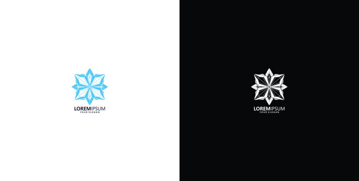 Abstract symmetrical star concept logo design, presented in contrasting color variations for versatile branding. An elegant geometric emblem for modern and adaptable visual identity