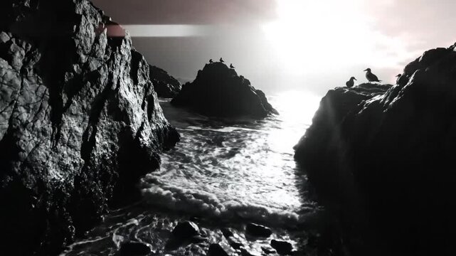 Coastal seascape with silhouettes of seabirds on rocky outcroppings under the dramatic sky during sunset or sunrise