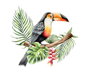 Fototapeta premium Toco toucan sits on a branch in the leaves of a palm tree, monstera and heliconia flower. Watercolor hand drawn bird, isolated illustration on transparent background. Perfect for tropical design